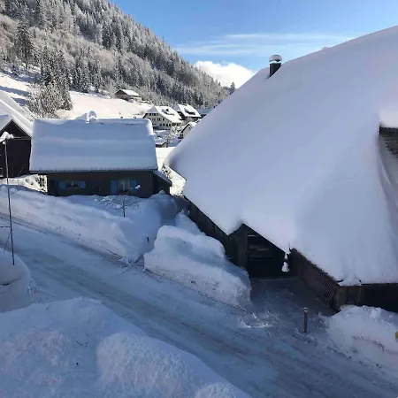 Appartamento Forest Menzenschwand St. Blasien