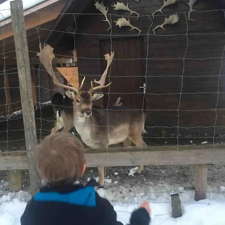 Forest Menzenschwand アパート ザンクト・ブラージエン