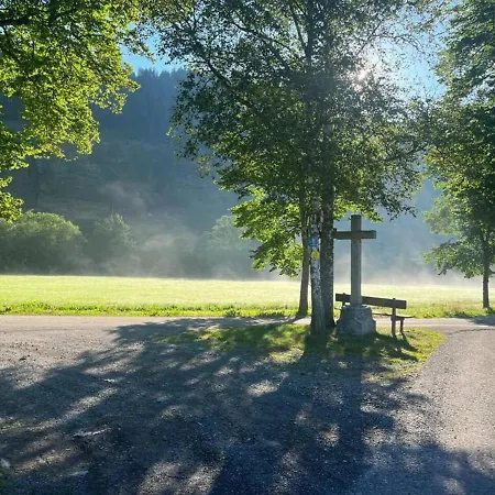 アパート Forest Menzenschwand *