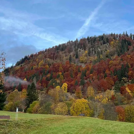 Forest Menzenschwand * St. Blasien