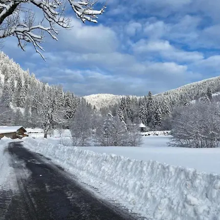 アパート Forest Menzenschwand