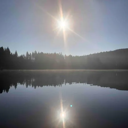 Apartament Forest Menzenschwand