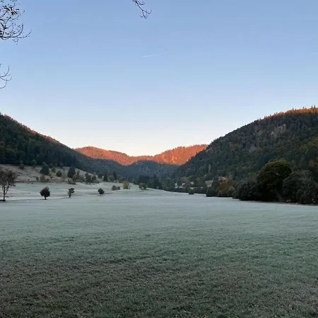 Apartament Forest Menzenschwand *