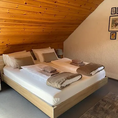 Forest Menzenschwand Appartamento St. Blasien