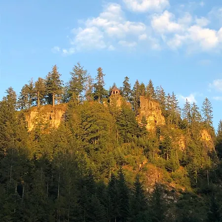 Forest Menzenschwand * St. Blasien