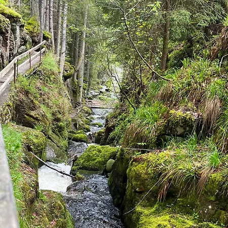 Forest Menzenschwand アパート